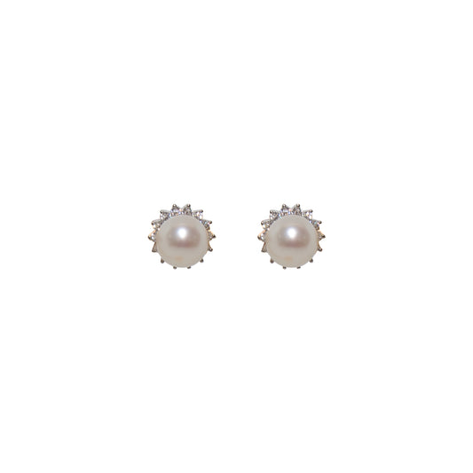 Silver Sparkle Studs